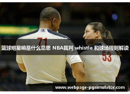 篮球明星哨是什么意思 NBA裁判 whistle 和球场规则解读